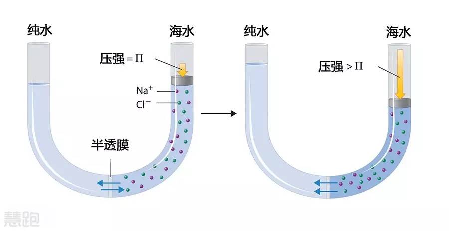 运动饮料配制_运动型饮料配料表_运动饮料配方