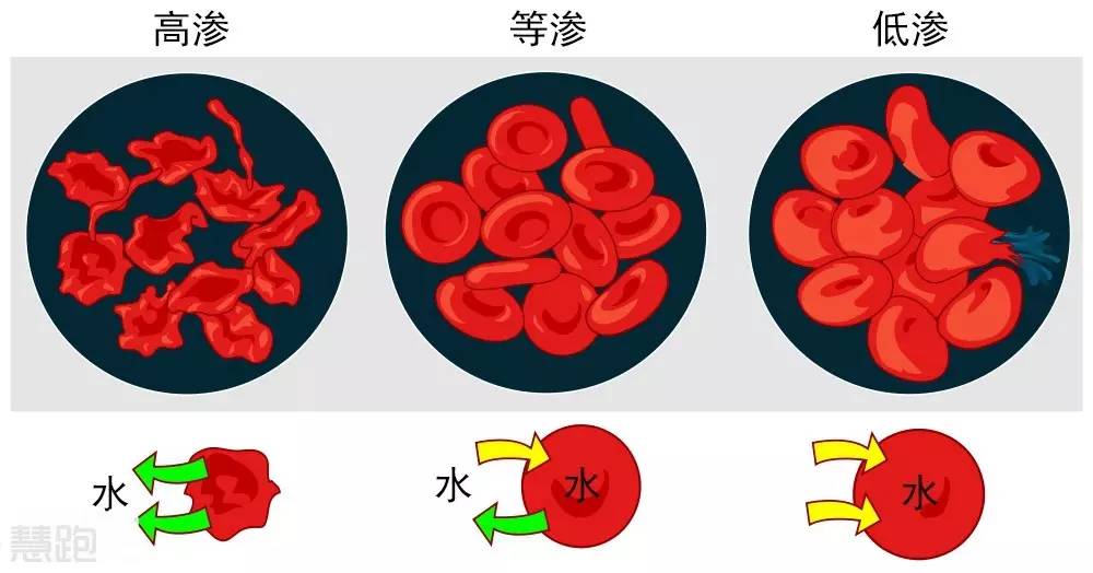 运动型饮料配料表_运动饮料配制_运动饮料配方